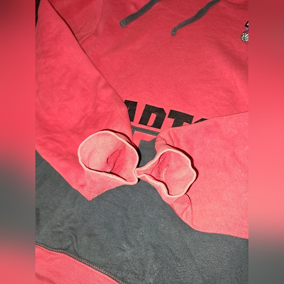 NBA Toronto Raptors basketball pull over hoodie - Picture 3 of 10